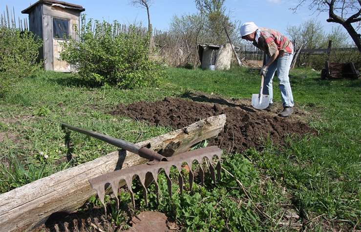 От летнего отдыха отказалось рекордное число россиян 