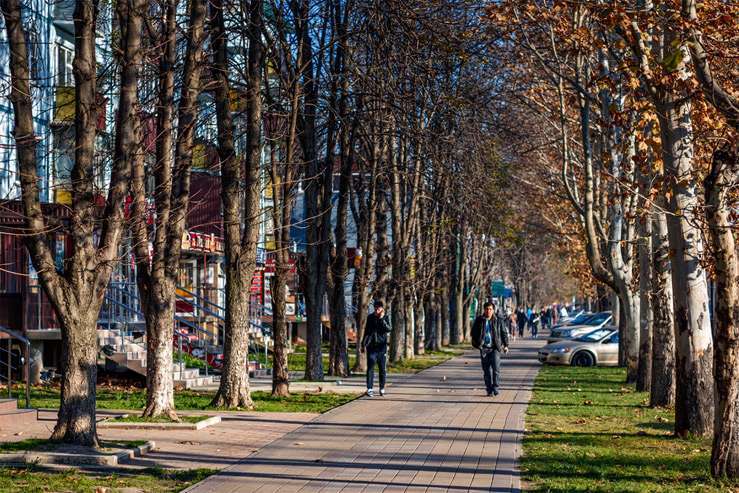 Названы три самых благоустроенных города России