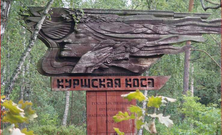 Парк 