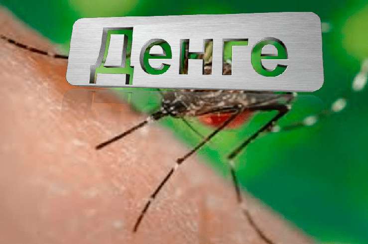Роспотребнадзор сообщил, что в Новой Каледонии зафиксировали вспышку лихорадки Денге