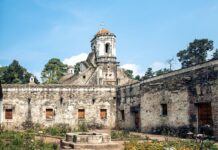 Desierto de Los Leones: несподівана втеча в дику природу з Мехіко