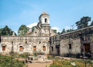 Desierto de Los Leones: несподівана втеча в дику природу з Мехіко