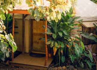 Великий острів Гаваї: бюджетна подорож і краєвиди вулканів