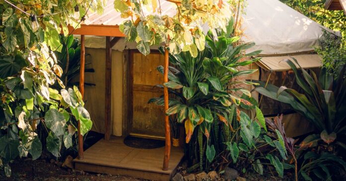 dbee5f1f-9ffb-487a-b96a-e76fbc5ed92a