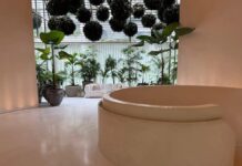 Сінгапурське Видання: Функціонально, Але Не Винятково