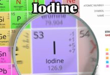 Неоспіваний Герой Людського Здоров’я: Йод – Від Морських Водоростей до Сучасного Життя
