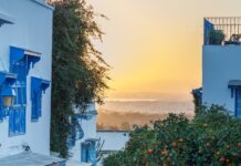 Tunis : une destination méditerranéenne montante pour les voyageurs