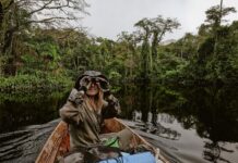 Дослідники Виявили Процвітаючу Популяцію Рожевих Амазонських Дельфінів у Віддаленому Рукаві Амазонки