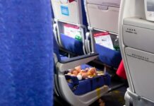 Хаос у салоні: антисанітарна реальність неконтрольованої їжі на борту