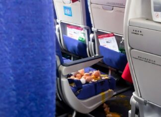 Хаос у салоні: антисанітарна реальність неконтрольованої їжі на борту