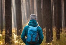 Пошук дзен у Блакитному хребті: путівник лісовим купанням у Сілві, Північна Кароліна