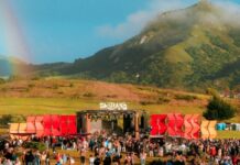 Скрытые Жемчужины: 10 Музыкальных Фестивалей в США, Стоящих Посещения в 2026 Году