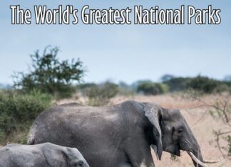 Величественные сцены природы: Путешествие по лучшим национальным паркам Южного полушария